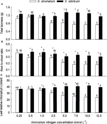 Differences and related physiological mechanisms in effects of ammonium on the invasive plant Xanthium strumarium and its native congener X. sibiricum